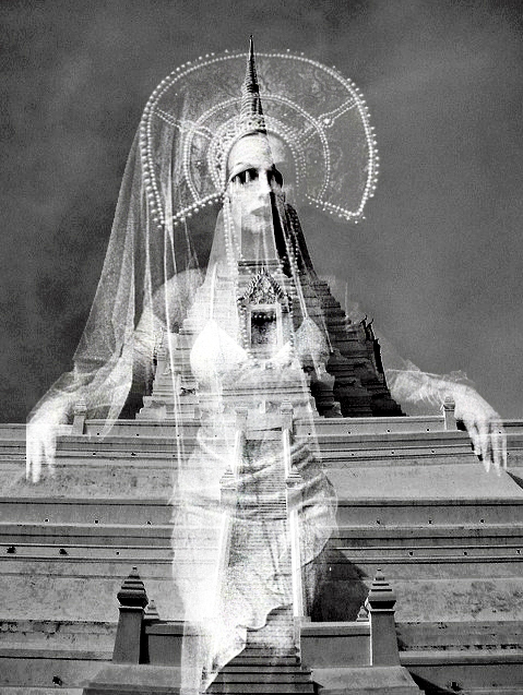 AmandaD4 (479x637, 274Kb)