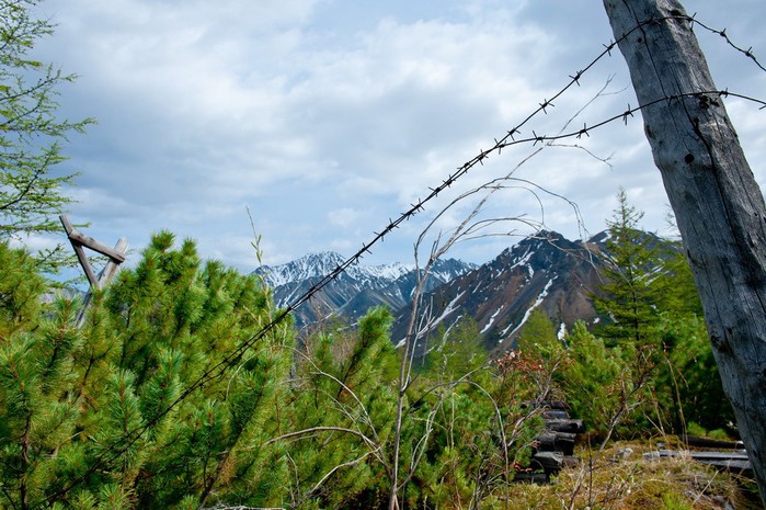 MomskyGulag10 (700x465, 123Kb)