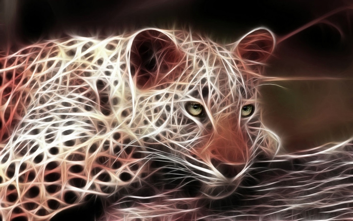 5 (700x437, 221Kb)