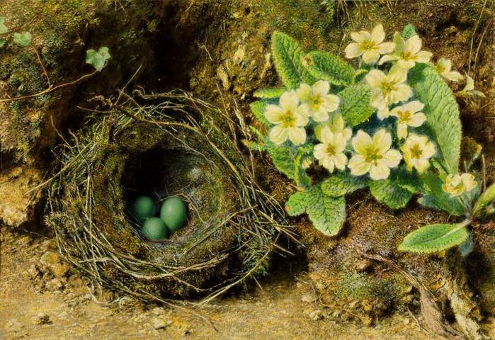 Уильям Генри Хант (1790-1864), Primroses and Bird's Nest, 1840s. (700x480, 89Kb)