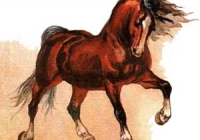horse (200x140, 24Kb)