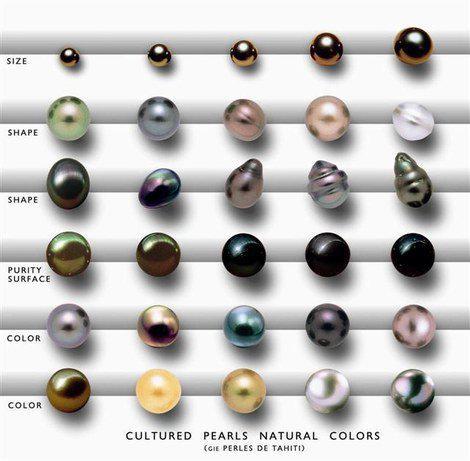 BLACK PEARL classification (470x461, 33Kb)