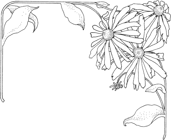 aster-1-coloring-page (700x573, 57Kb)