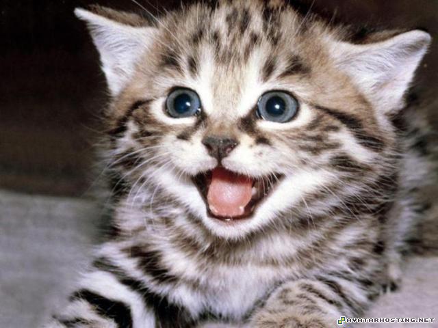 http://img0.liveinternet.ru/images/attach/c/7/97/879/97879808_large_4242220_k12.jpg