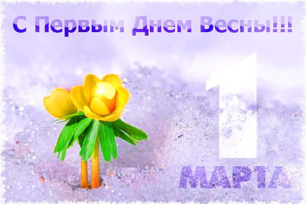 4449415_1 (600x400, 89Kb)