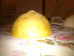 Превью 2013-03-03-461 (700x525, 80Kb)