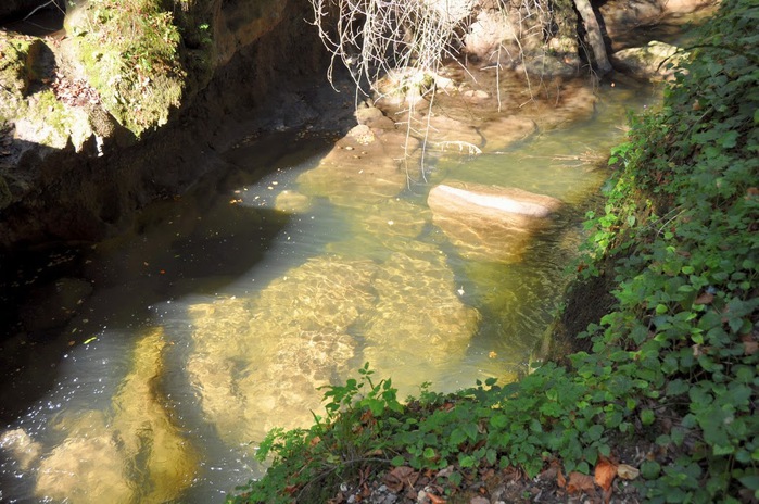 Водопад La Tine de Conflens, Швейцария 79143