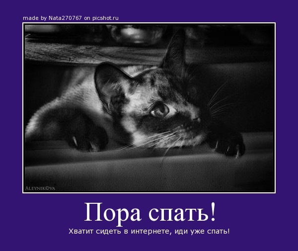 http://img0.liveinternet.ru/images/attach/c/7/98/180/98180664_pora_spat.jpg
