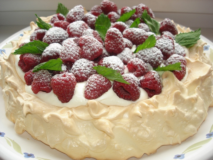 pavlova-4 (700x525, 192Kb)