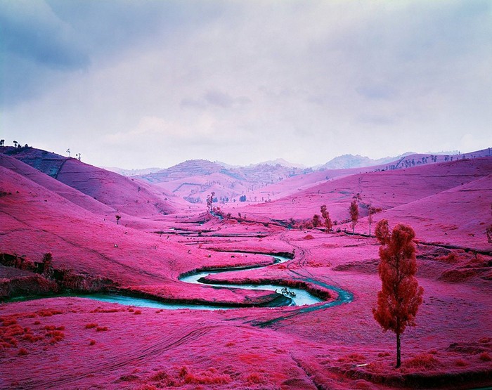 richard-mosse-1 (700x555, 114Kb)