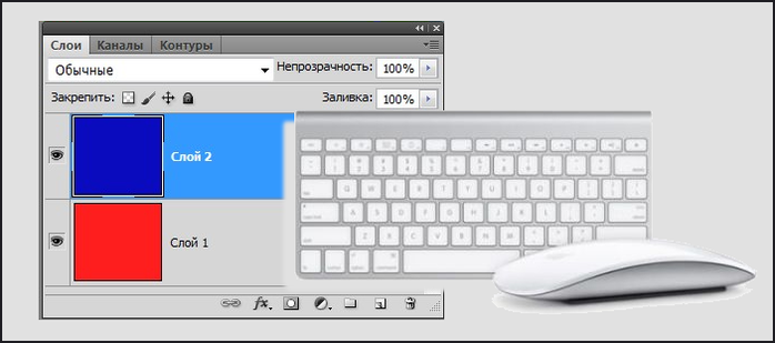 magic-mouse (700x309, 107Kb)