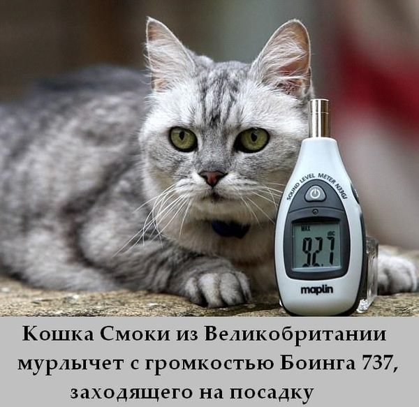 1331925253__fakti_07 (600x583, 60Kb)