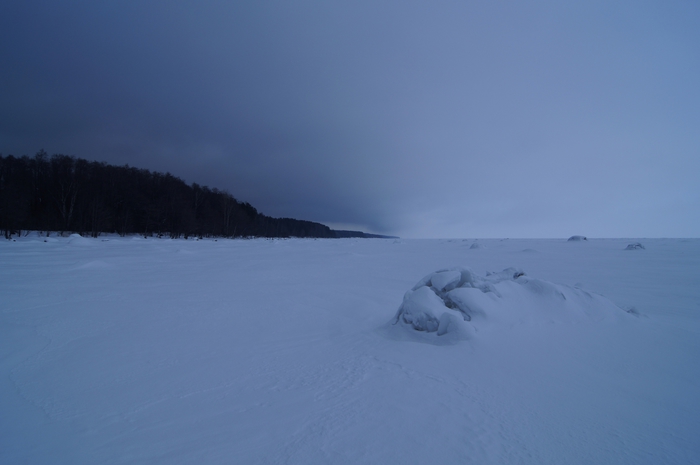 4213829__DSC3095 (700x465, 111Kb)