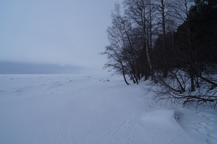 4213829__DSC3100 (700x465, 193Kb)