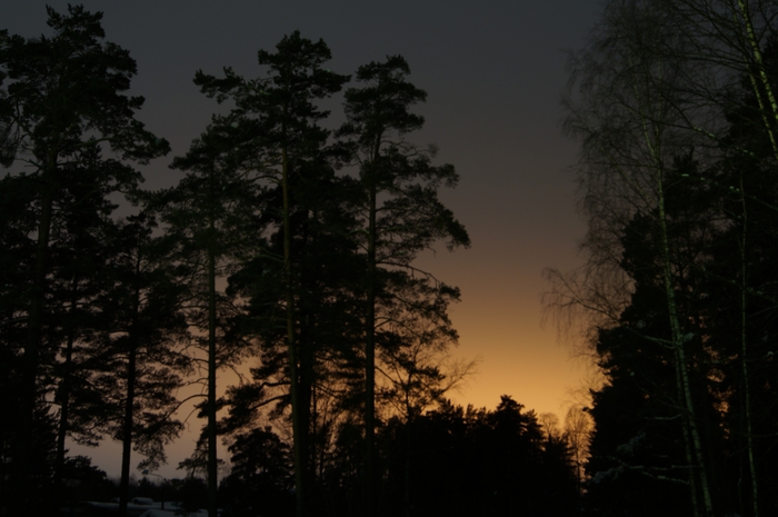 4213829__DSC3107 (700x465, 207Kb)