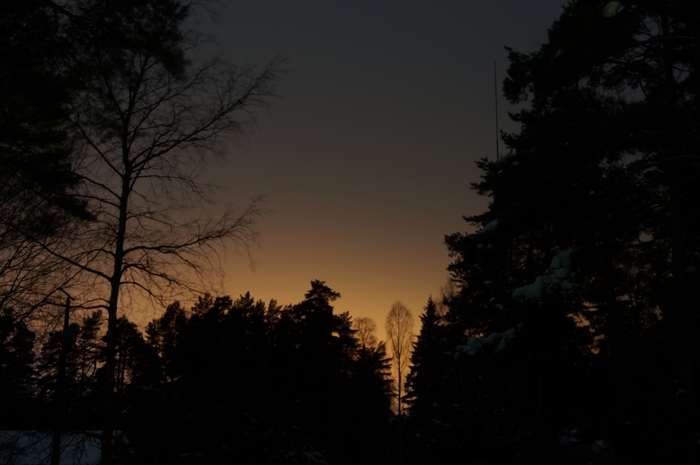 4213829__DSC3116 (700x465, 162Kb)