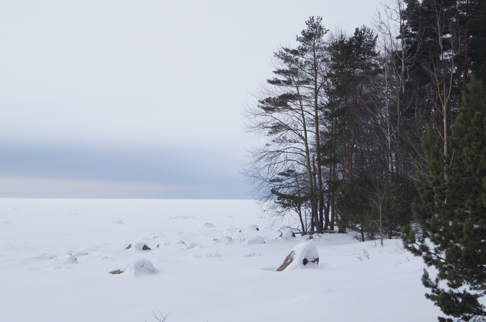 4213829__DSC3127 (700x465, 179Kb)
