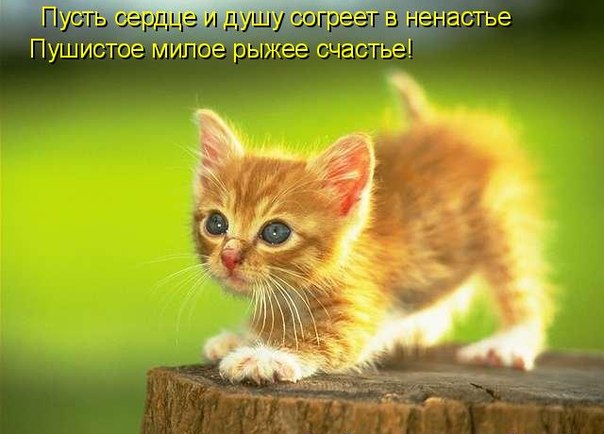 http://img0.liveinternet.ru/images/attach/c/7/98/63/98063276_VP9F2KLuRFU.jpg