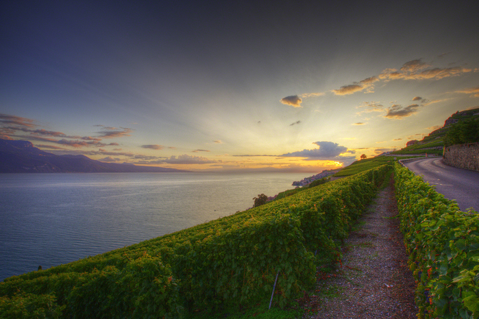 swiss_3 (700x466, 291Kb)