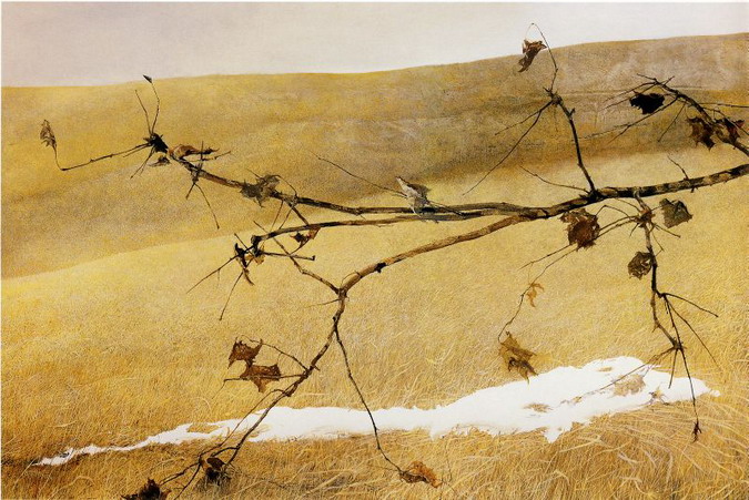 Andrew Wyeth (675x451, 127Kb)