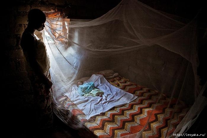 smithsonian-photo-contest-people-africa-babies-maternity-paolo-patruno (700x466, 149Kb)