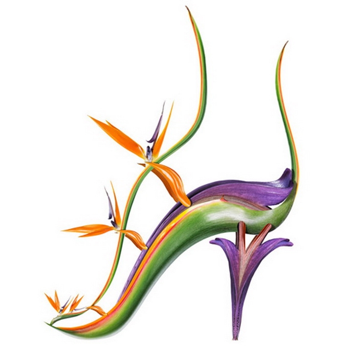 Fleur (680x680, 112Kb)
