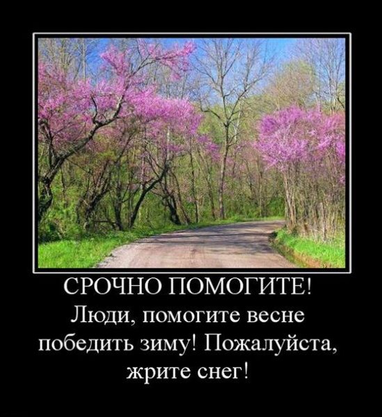 http://img0.liveinternet.ru/images/attach/c/7/98/853/98853940_71415055_387822.jpg