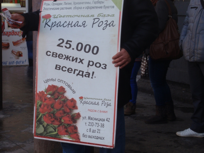 В Москве объявлено начало первого этапа операции "Первоцвет-2013" - фото 16