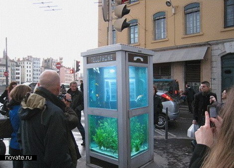 aquarium1 (470x338, 54Kb)