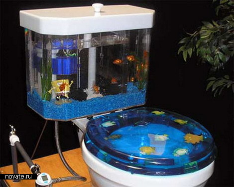 aquarium2 (470x375, 47Kb)