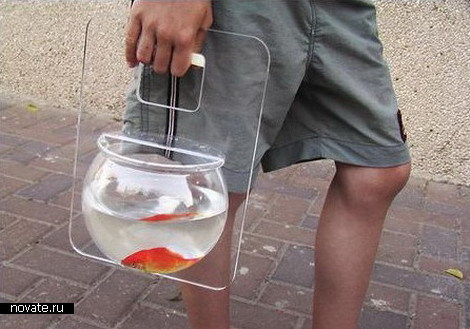 aquarium3 (470x329, 48Kb)