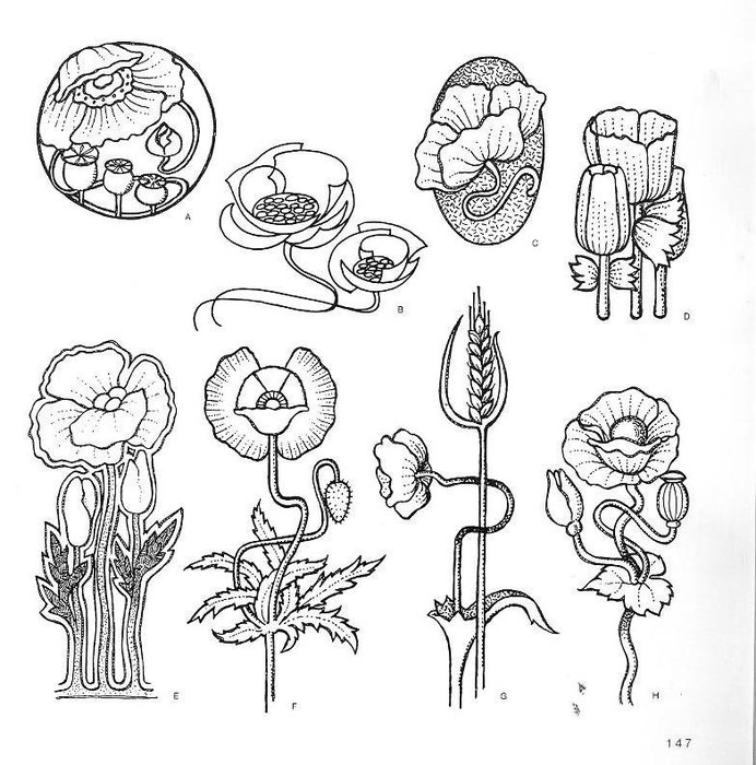 74048894_large_4000_motifs_de_fleurs_et_de_plantes__135_ (692x700, 111Kb)