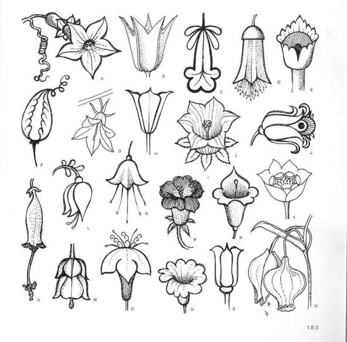 74049081_large_4000_motifs_de_fleurs_et_de_plantes__171_ (700x689, 93Kb)