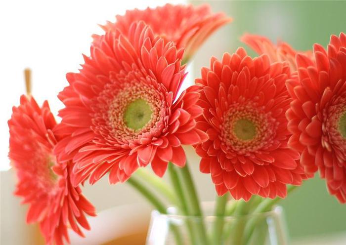 86482893_large_g2 (700x496, 43Kb)