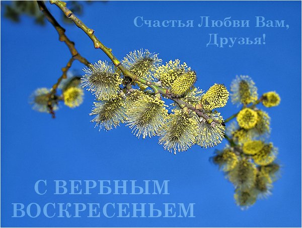 979328946 (500x354, 63Kb)