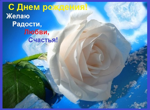 _belaya_roza  (481x354, 59Kb)