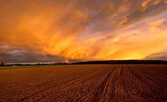 Как фотографировать гром и молнии Фотографии