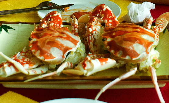 image003 (555x338, 132Kb)