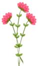 023983733 (76x130, 23Kb)