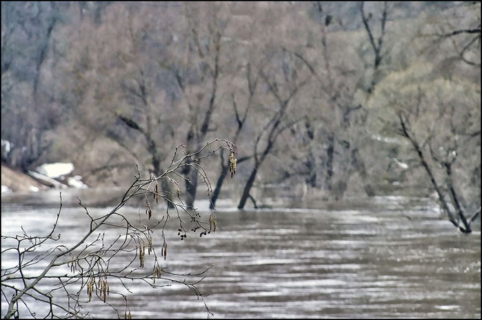 Половодье на протве/3673959_7_1_ (700x464, 83Kb)