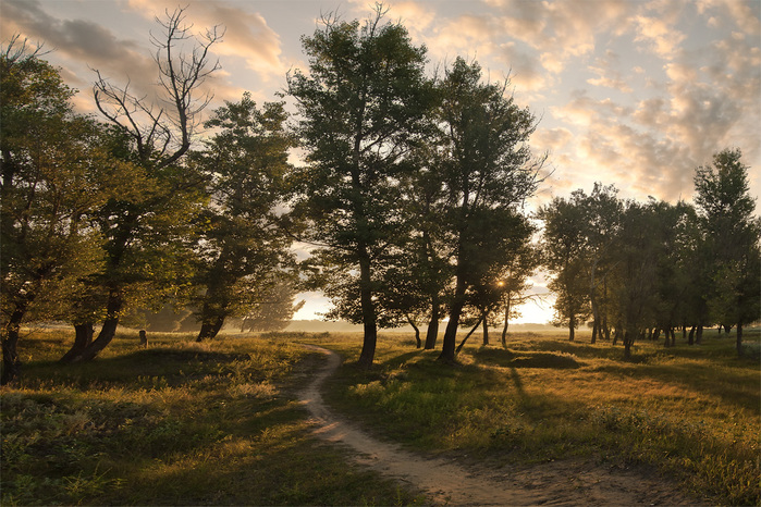 4360286_288670 (700x466, 210Kb)