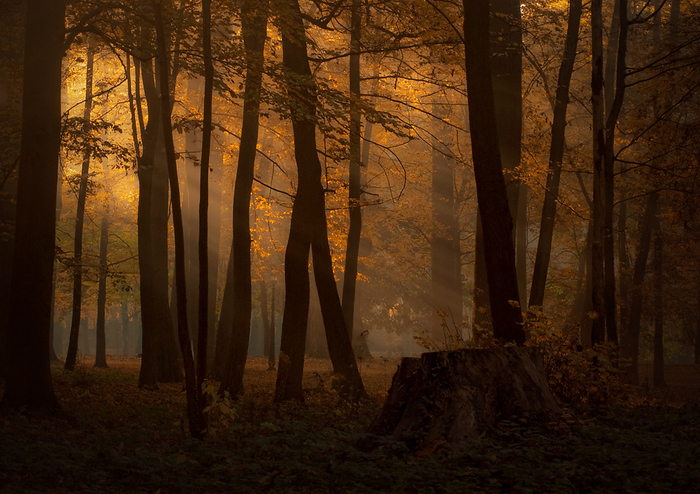 4360286_511326 (700x494, 297Kb)