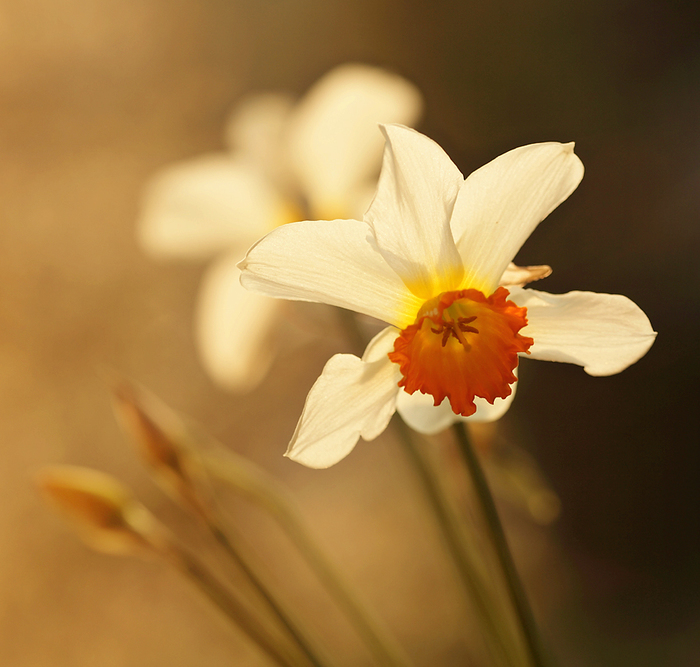 4360286_513077 (700x667, 312Kb)