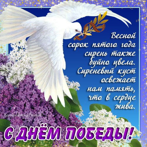 Поздравления с днем рождения и мирного неба Поздравления с днем рождения и мирного неба
