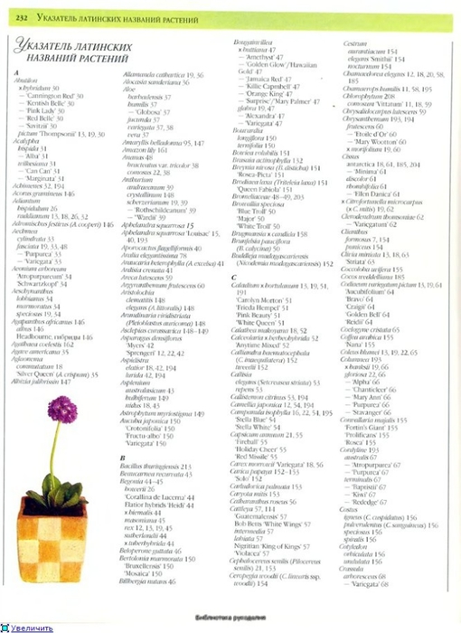 комнатные растения (96) (510x700, 179Kb)