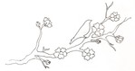  cherry_blossom_lineart_by_randomalex3107-d4e09l0 (700x371, 75Kb)