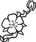 dkg_how-to-draw-a-cherry-blossom-for-kids-step-6 (255x302, 12Kb)