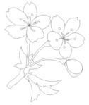  gazou023-1 (592x700, 26Kb)