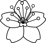 sakura_line_art (550x519, 40Kb)