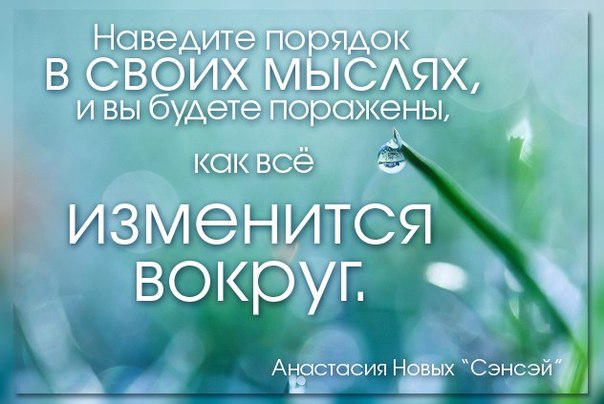 Порядок в жизни цитаты Порядок в жизни цитаты